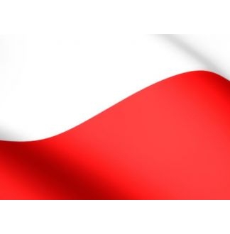 Podsumowanie Dzielnicowych Obchodów 100 - lecia Odzyskania przez Polskę Niepodległości